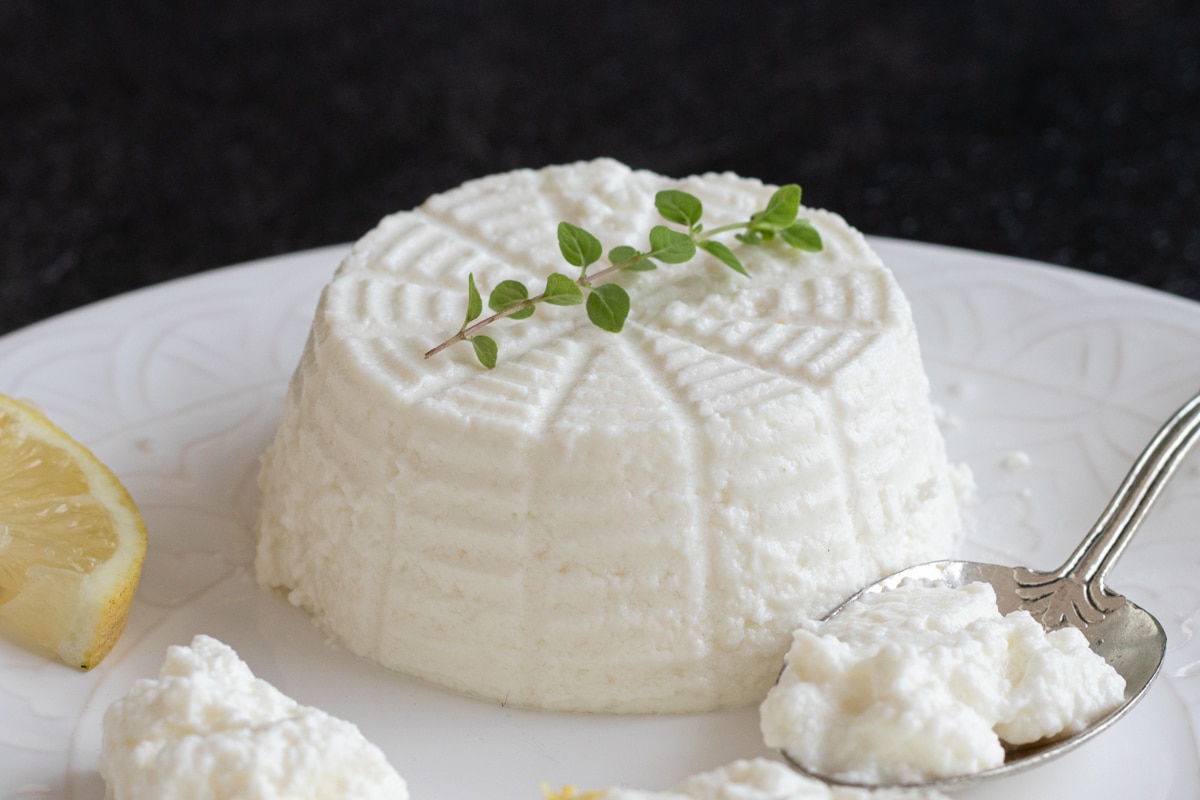 Homemade ricotta cheese on a white plate.