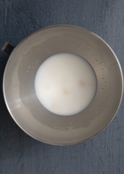 Lievito madre and water and milk in mixing bowl.