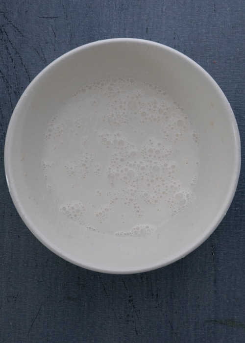 Mixing the milk and starter in a white bowl.