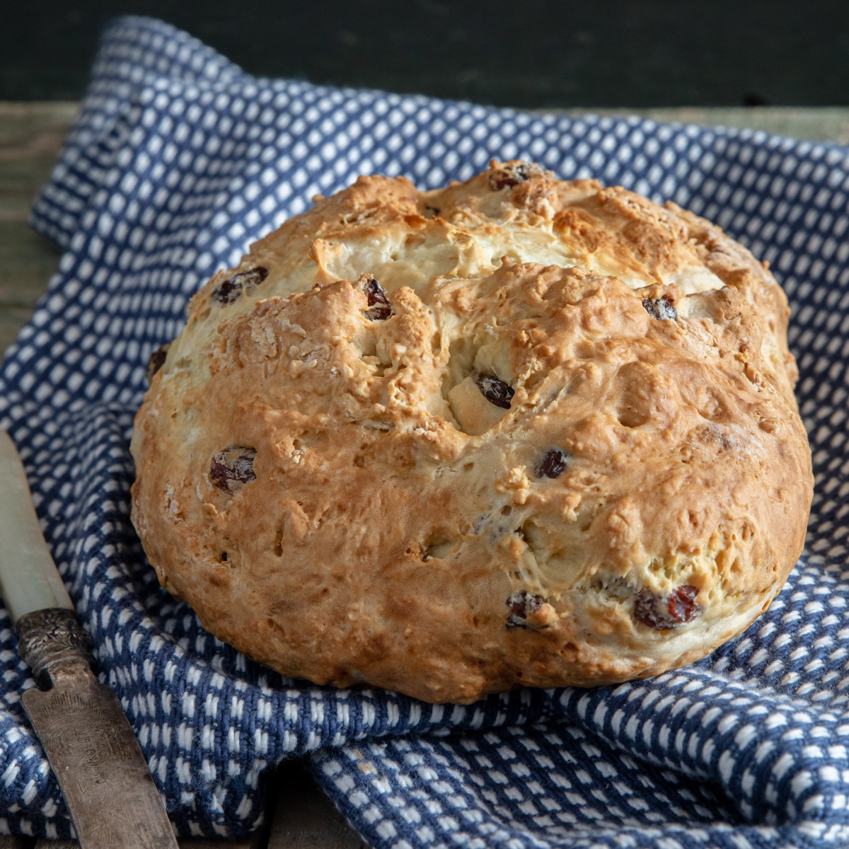 Lievito Madre Discard Soda Bread