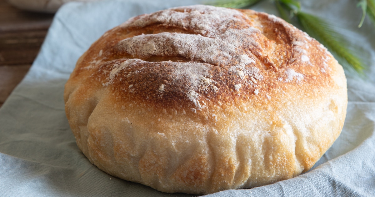 Lievito Madre Discard Bread Recipe Lievito Madre Discard Bread Recipe