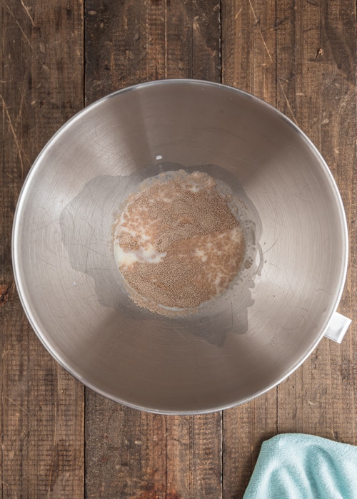 The yeast and water in the mixing bowl.