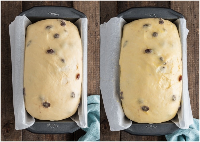 The dough with raisins before and after risen in the loaf pan.