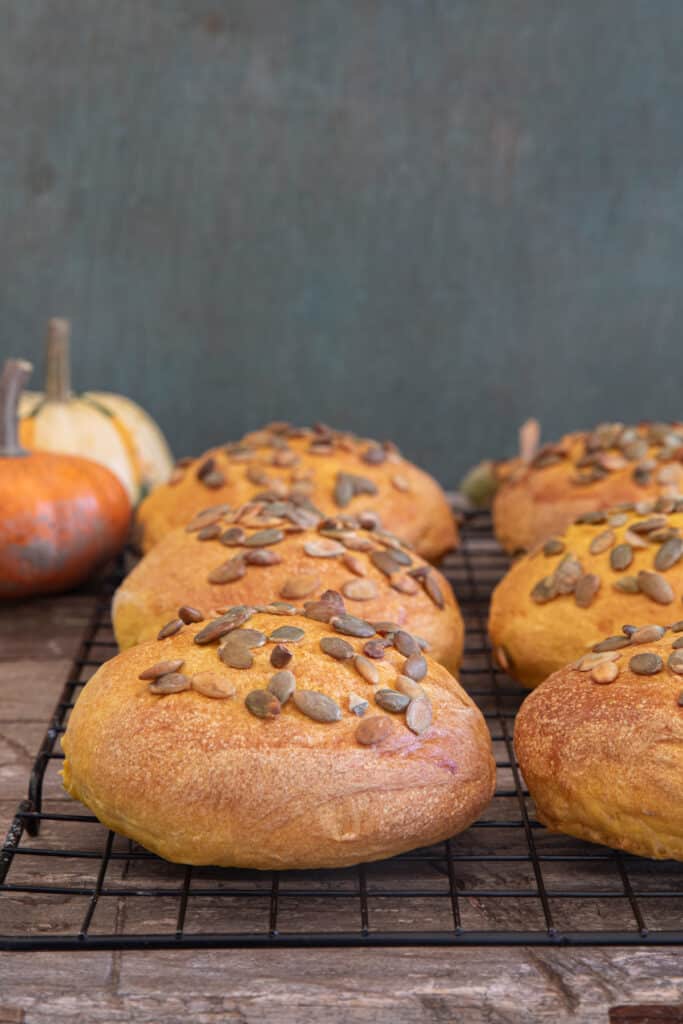 Pumpkin buns on a wire rack.