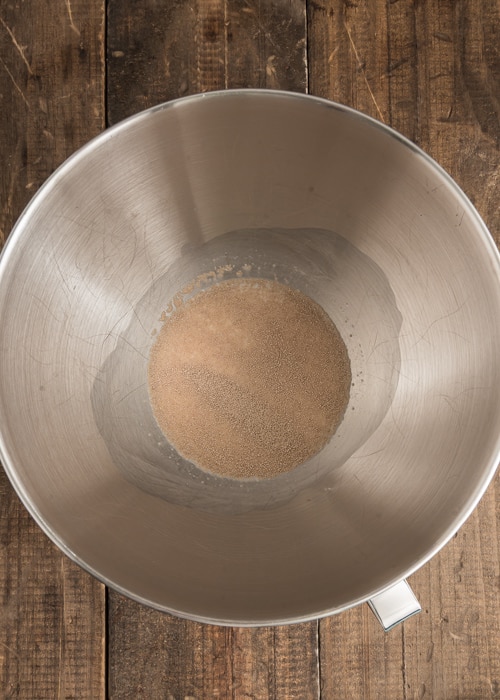 The yeast and water in the mixing bowl.