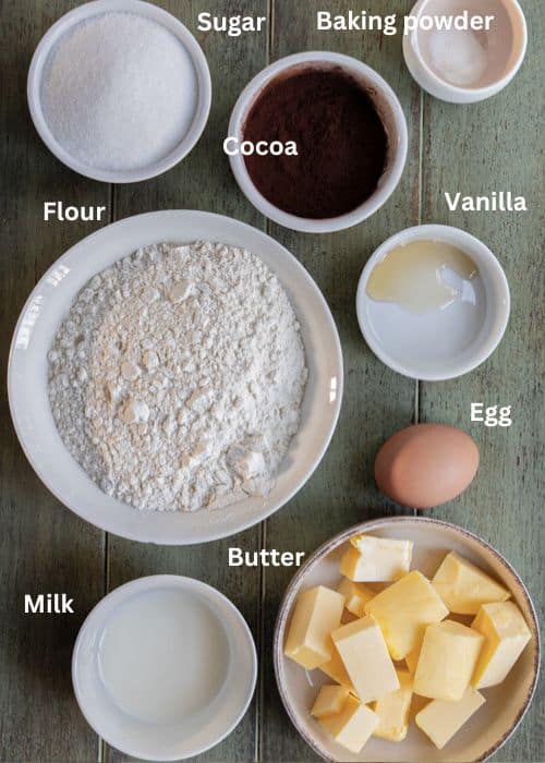 Ingredients for the recipe.