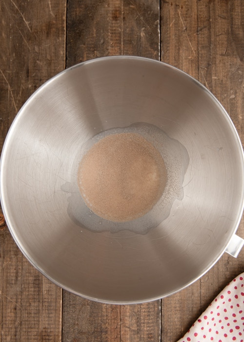 The yeast and water in the mixing bowl.