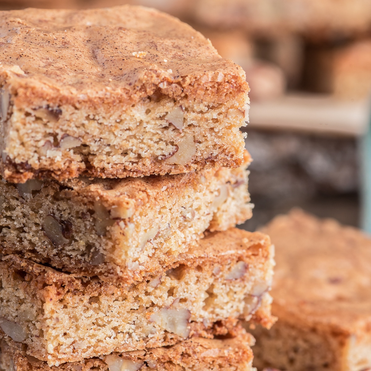 Easy Pecan Blondies