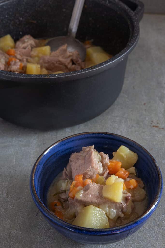 Stew in the pot and some in a bowl.