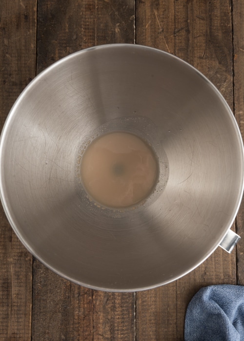 The yeast and water in the mixing bowl.